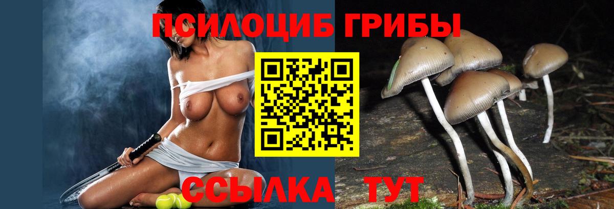 Галлюциногенные грибы GOLDEN TEACHER  Псилоцибиновые грибы ЛСД  Вход с VPN  Сургут 