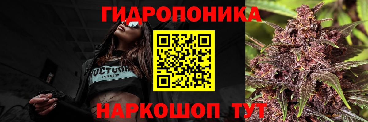 Каннабис конопля Сургут