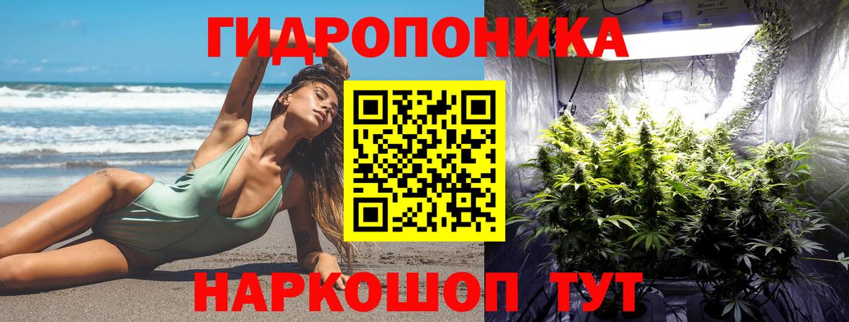 Бошки Шишки гибрид  Вход с VPN  Сургут  Шишки марихуана сатива  Бошки Шишки конопля 